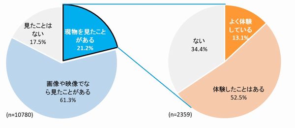 VRヘッドセット認知