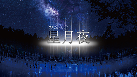 幻想夜景【星月夜】