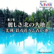 “日本驚嘆百景”シリーズ第5弾『麗しき北の大地～美瑛・彩る花々と青い池～』